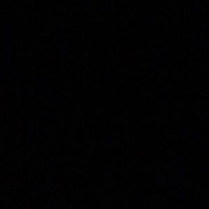 Meet your Posher, Roy